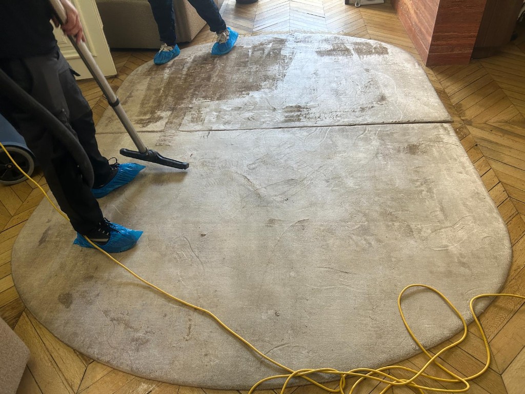 Shampouinage tapis par injection-extraction — TOP SERVICES